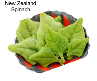 New Zealand Spinach