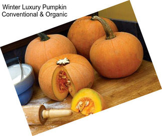 Winter Luxury Pumpkin Conventional & Organic