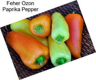 Feher Ozon Paprika Pepper