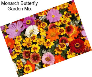 Monarch Butterfly Garden Mix