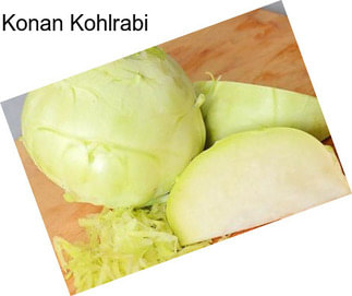 Konan Kohlrabi