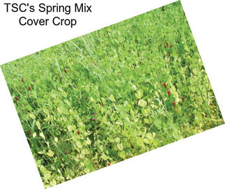 TSC\'s Spring Mix Cover Crop