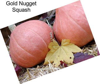 Gold Nugget Squash