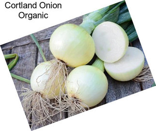 Cortland Onion Organic