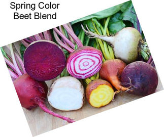 Spring Color Beet Blend