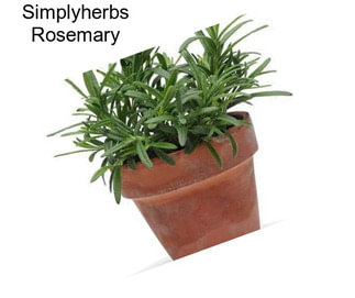 Simplyherbs Rosemary