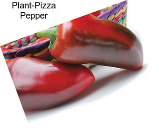 Plant-Pizza Pepper