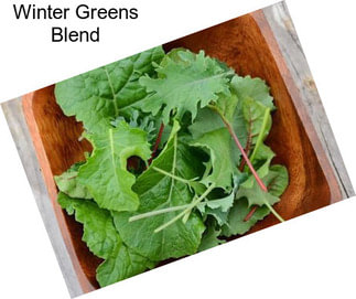 Winter Greens Blend