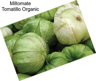 Miltomate Tomatillo Organic