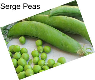 Serge Peas