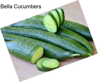 Bella Cucumbers