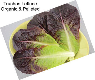 Truchas Lettuce Organic & Pelleted