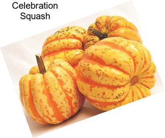 Celebration Squash