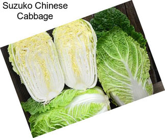 Suzuko Chinese Cabbage