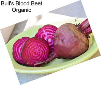 Bull\'s Blood Beet Organic