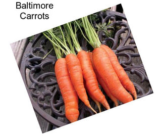 Baltimore Carrots