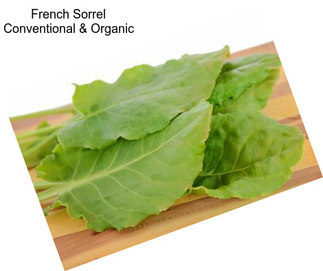 French Sorrel Conventional & Organic
