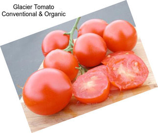 Glacier Tomato Conventional & Organic