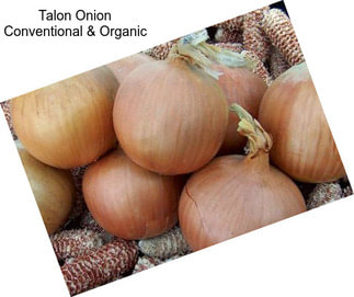 Talon Onion Conventional & Organic