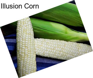 Illusion Corn