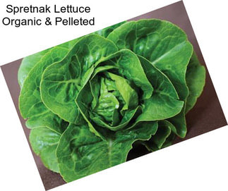 Spretnak Lettuce Organic & Pelleted