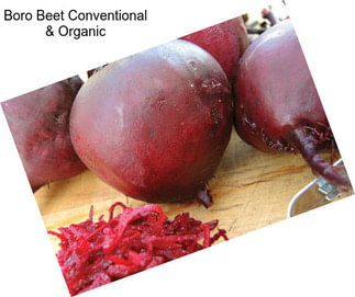 Boro Beet Conventional & Organic