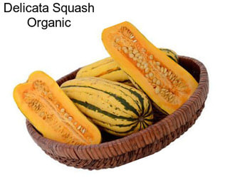 Delicata Squash Organic