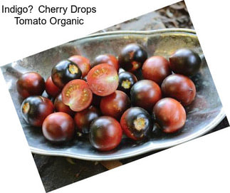 Indigo Cherry Drops Tomato Organic