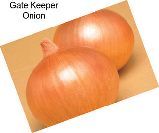 Gate Keeper Onion