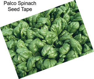 Palco Spinach Seed Tape
