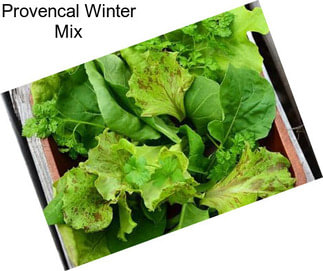 Provencal Winter Mix