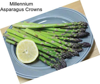 Millennium Asparagus Crowns