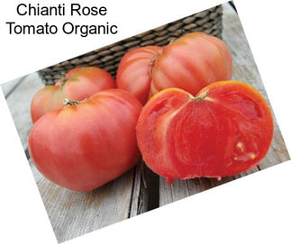 Chianti Rose Tomato Organic