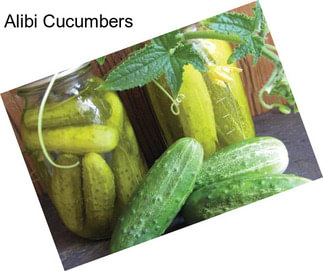 Alibi Cucumbers