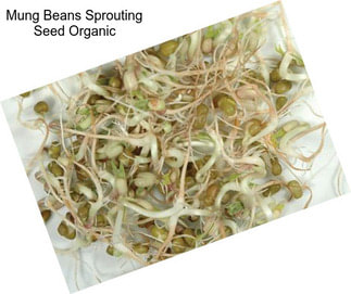 Mung Beans Sprouting Seed Organic