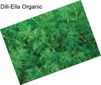 Dill-Ella Organic