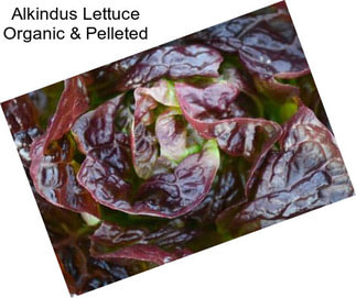 Alkindus Lettuce Organic & Pelleted