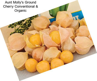 Aunt Molly\'s Ground Cherry Conventional & Organic