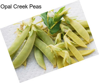 Opal Creek Peas