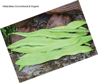 Helda Bean Conventional & Organic