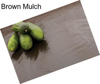 Brown Mulch