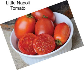 Little Napoli Tomato