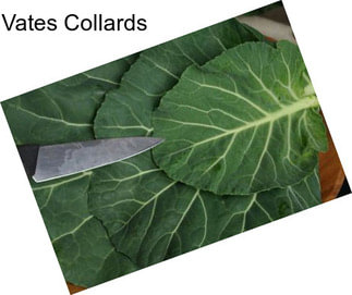 Vates Collards