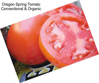 Oregon Spring Tomato Conventional & Organic