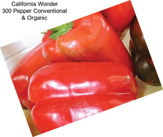 California Wonder 300 Pepper Conventional & Organic
