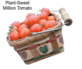 Plant-Sweet Million Tomato