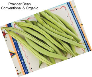 Provider Bean Conventional & Organic