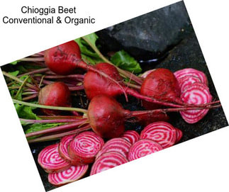 Chioggia Beet Conventional & Organic