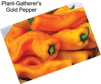 Plant-Gatherer\'s Gold Pepper