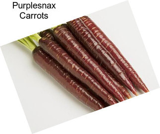 Purplesnax Carrots